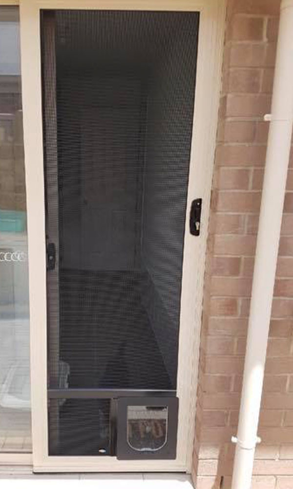 Dog Doors Adelaide